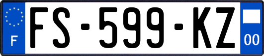 FS-599-KZ