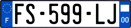 FS-599-LJ