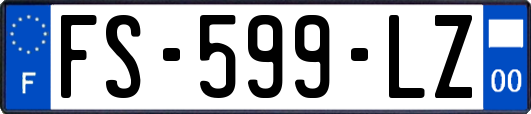 FS-599-LZ