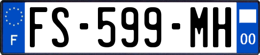 FS-599-MH
