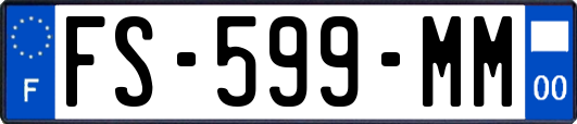 FS-599-MM