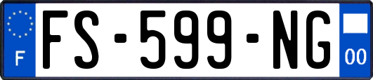FS-599-NG