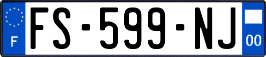 FS-599-NJ