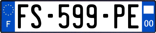 FS-599-PE