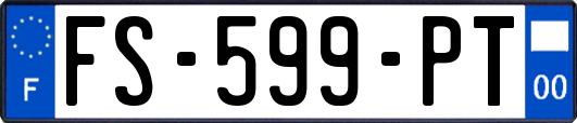 FS-599-PT
