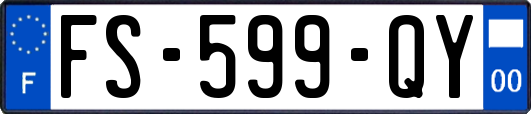 FS-599-QY