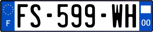 FS-599-WH