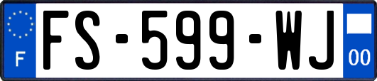 FS-599-WJ