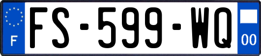 FS-599-WQ