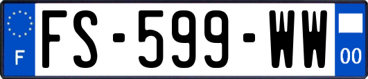 FS-599-WW