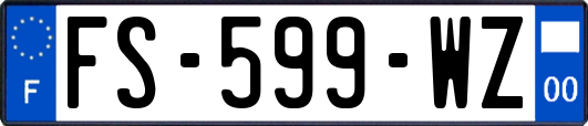 FS-599-WZ