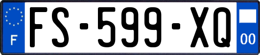FS-599-XQ