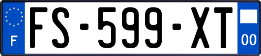 FS-599-XT