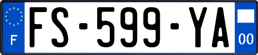 FS-599-YA