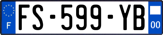 FS-599-YB