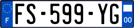FS-599-YG