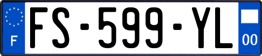 FS-599-YL