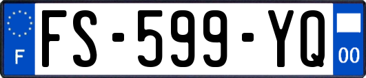 FS-599-YQ