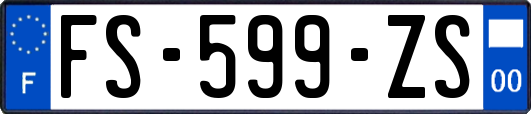 FS-599-ZS