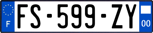 FS-599-ZY