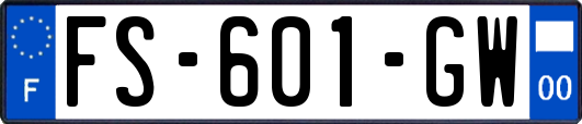 FS-601-GW