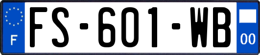 FS-601-WB
