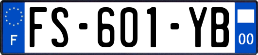 FS-601-YB