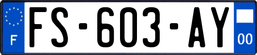 FS-603-AY