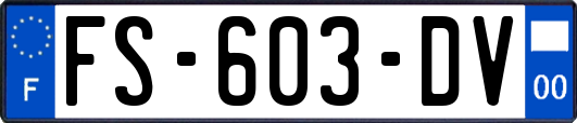 FS-603-DV