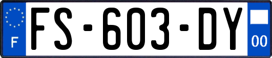 FS-603-DY