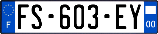 FS-603-EY