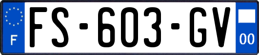 FS-603-GV