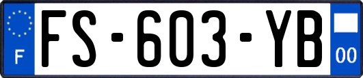FS-603-YB