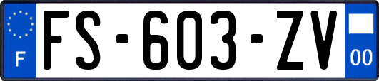 FS-603-ZV