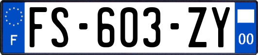 FS-603-ZY