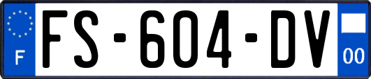 FS-604-DV