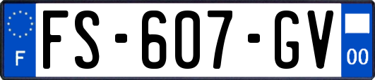 FS-607-GV