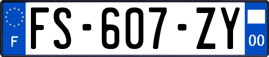 FS-607-ZY