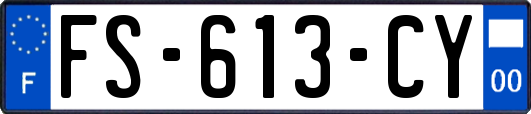 FS-613-CY