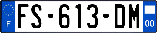 FS-613-DM
