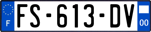 FS-613-DV
