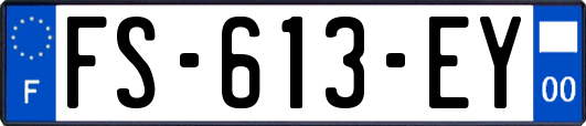 FS-613-EY