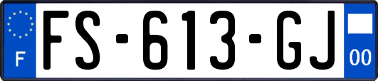 FS-613-GJ