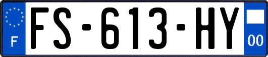 FS-613-HY