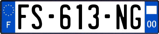 FS-613-NG