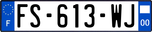 FS-613-WJ