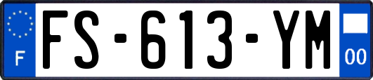FS-613-YM
