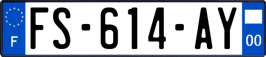 FS-614-AY