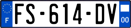 FS-614-DV