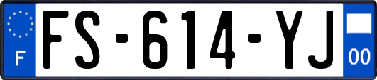 FS-614-YJ